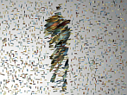 20130607133338