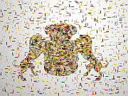 20130609165555