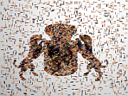 20130609170432