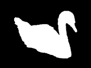 silhouette swan